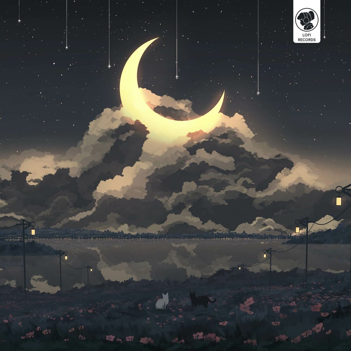 Album cover of New Light