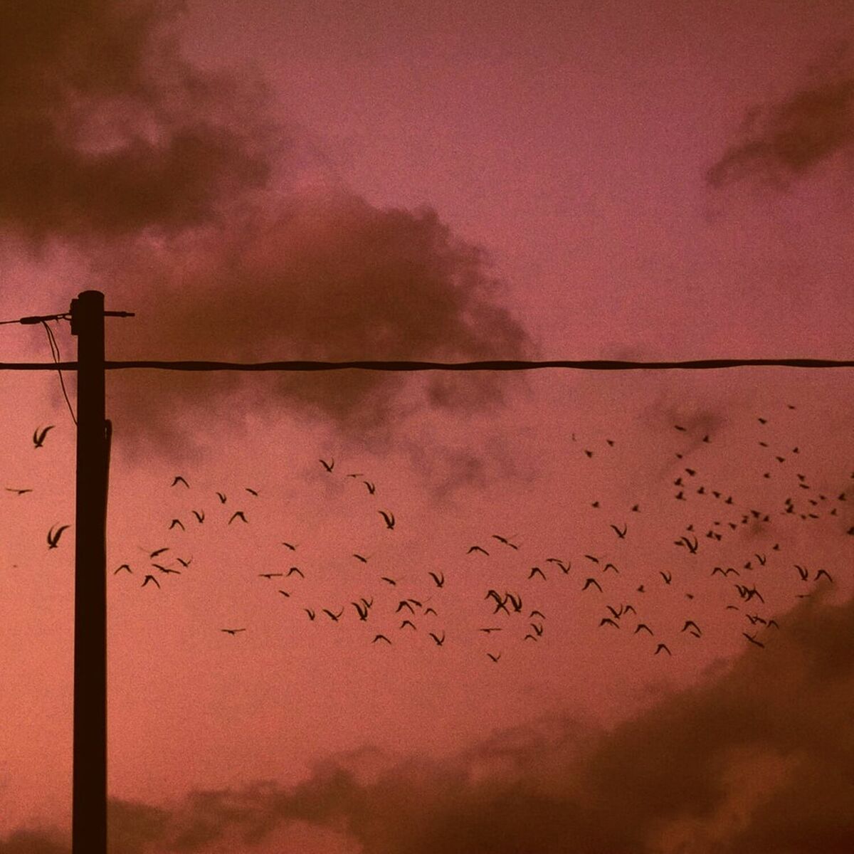 Album cover of Warm wind