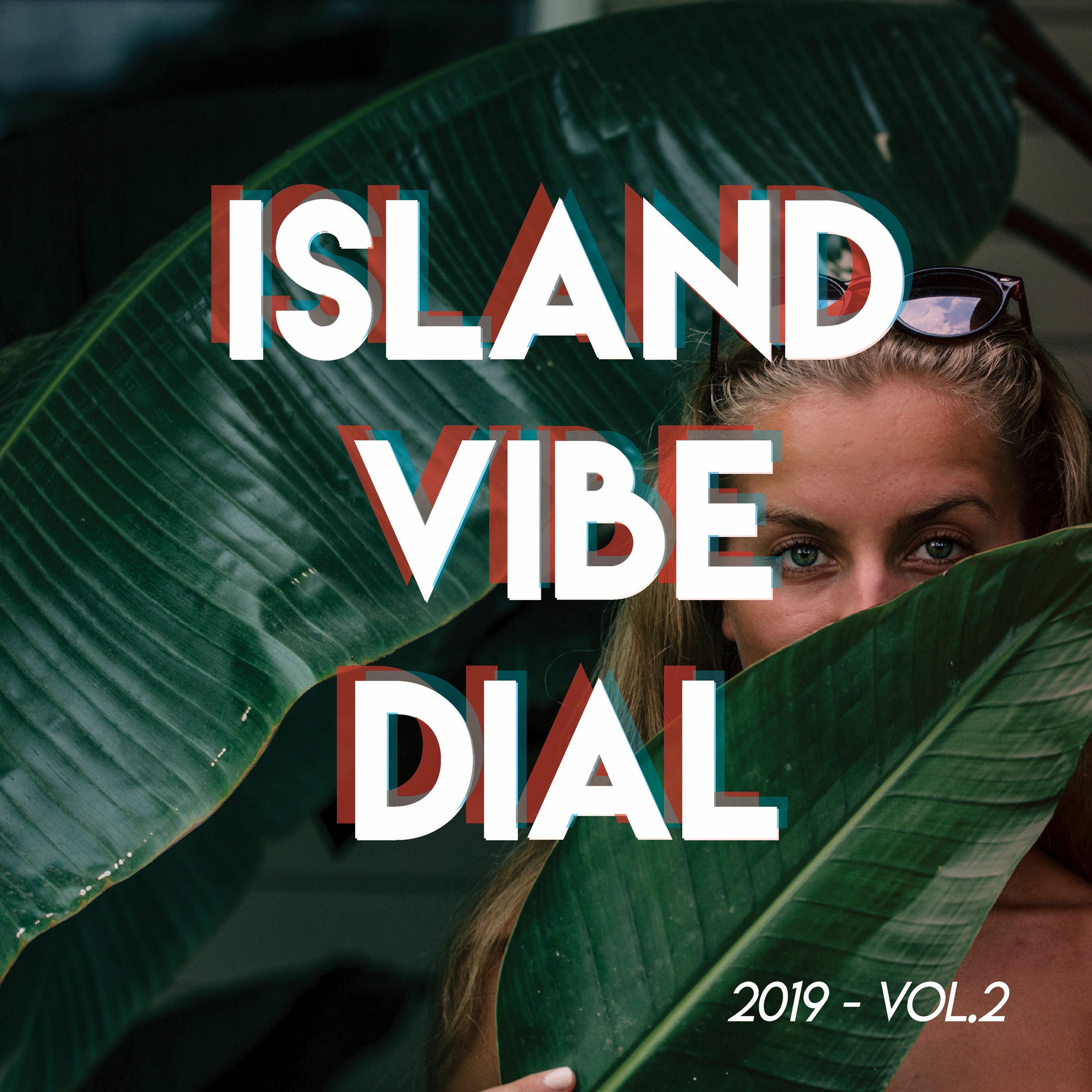 Album cover of Island Vibe Dial 2019 (Vol.2)