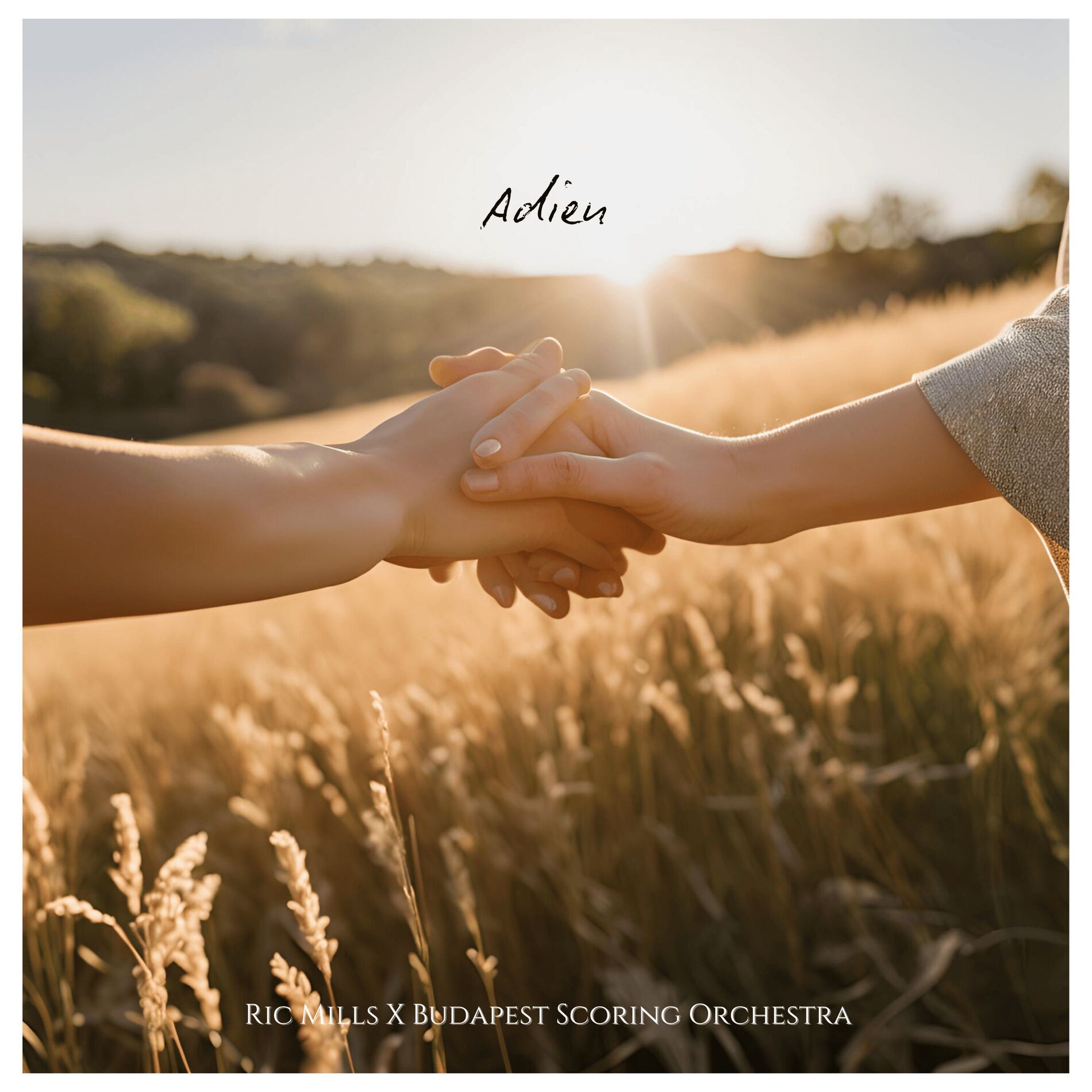 Album cover of Adieu (Orchestral Version)