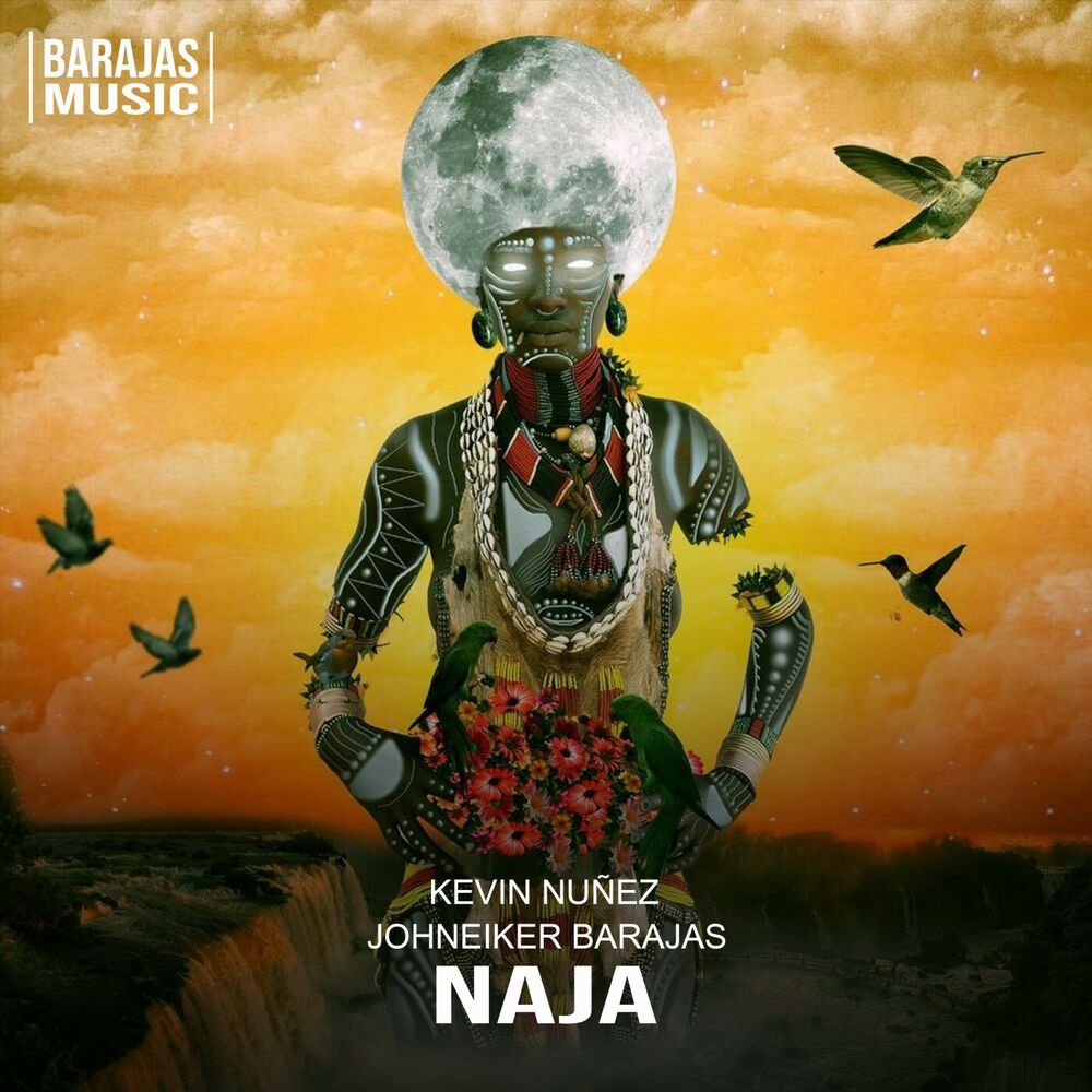 Picture of Naja