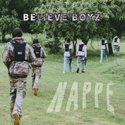 Cover of Nappé