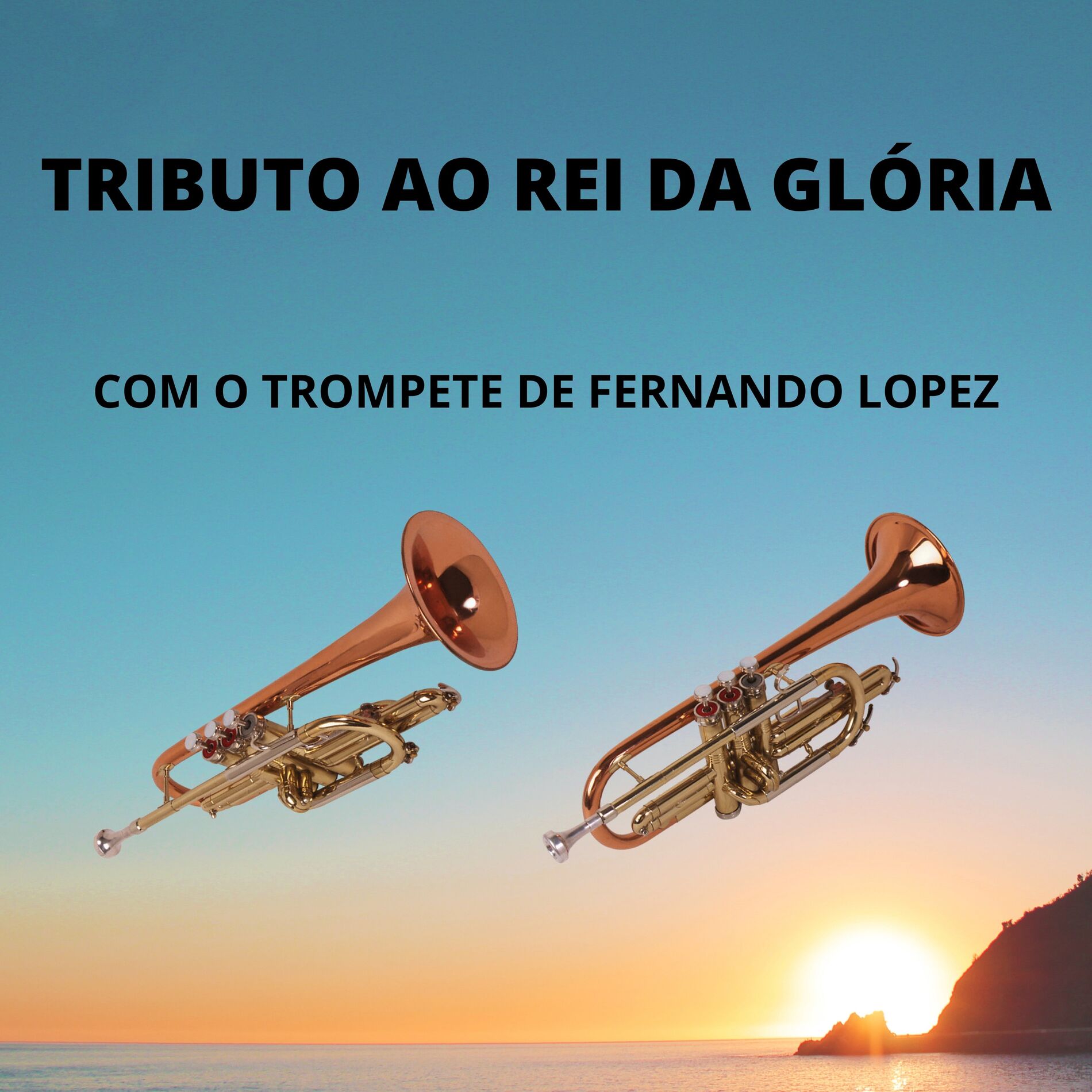 Album cover of Tributo Ao Rei Da Glória