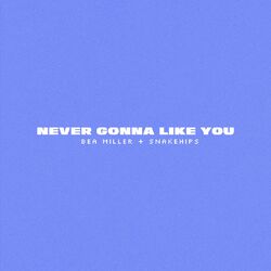 Cover of NEVER GONNA LIKE YOU