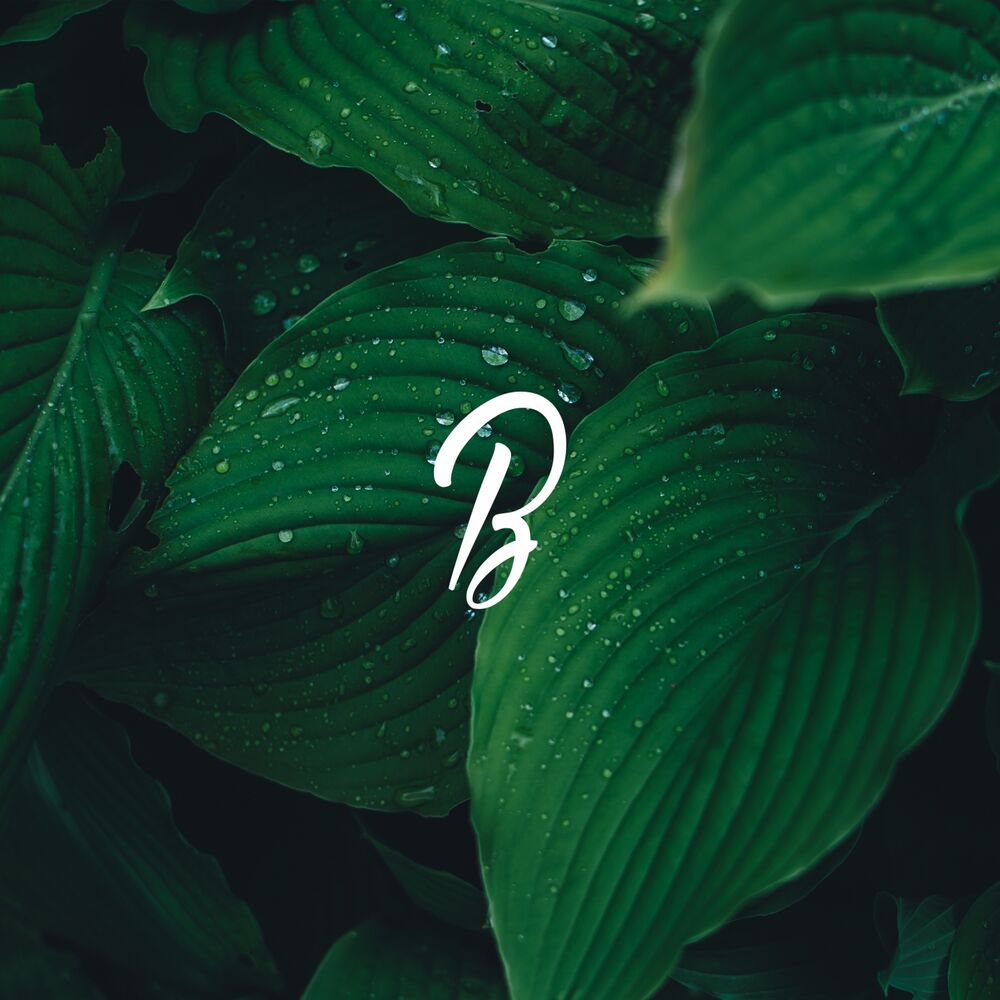 Picture of Green Motions