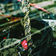 Tribalism by D-Leria album cover