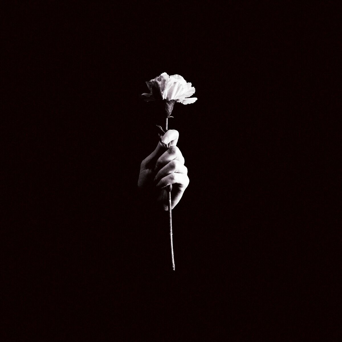 Album cover of A Madrugada Que Eu Esperava