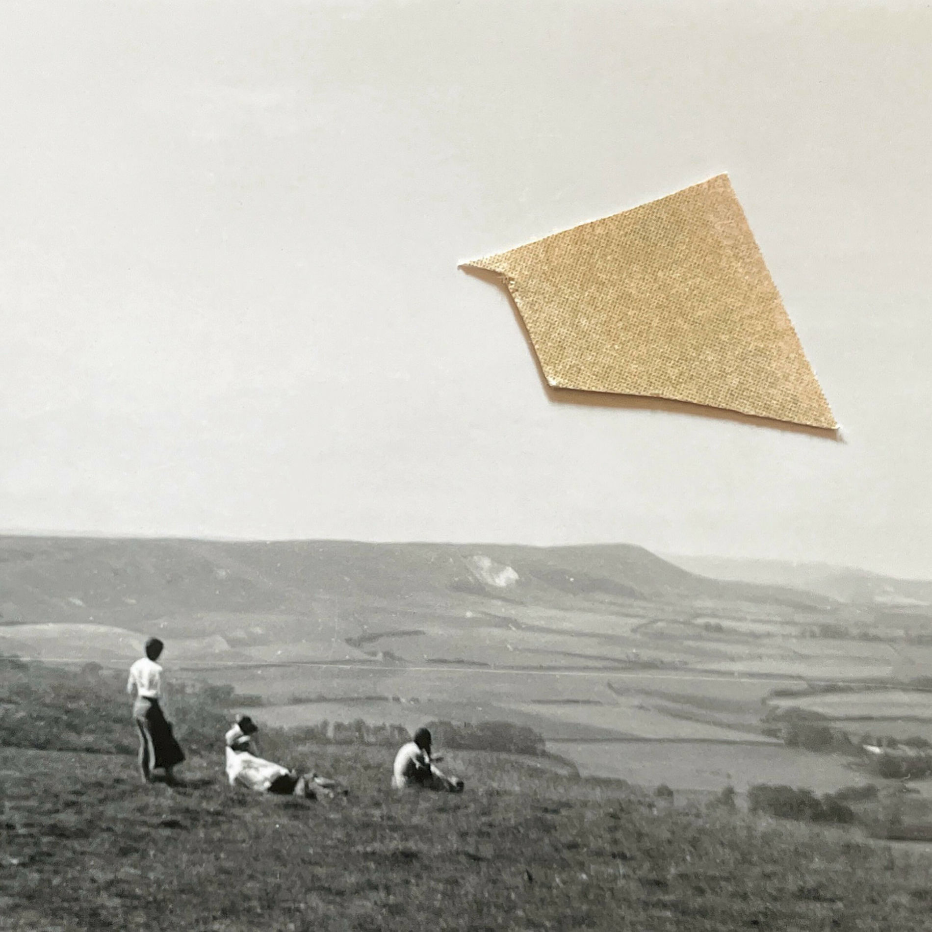 Album cover of Fløj