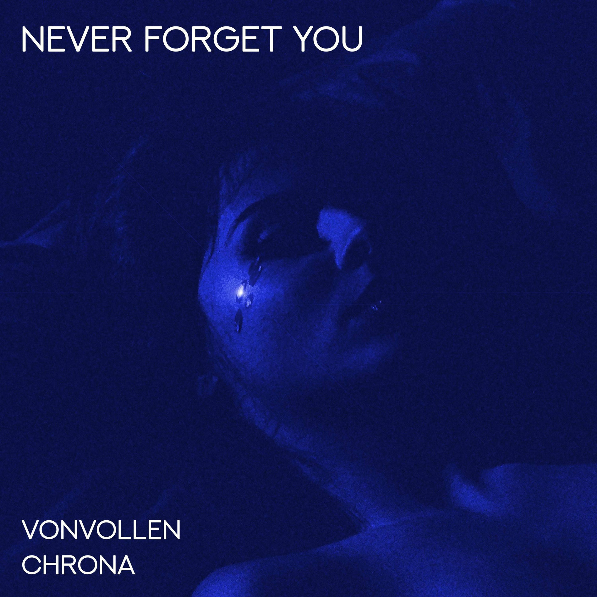 Album cover of Never Forget You