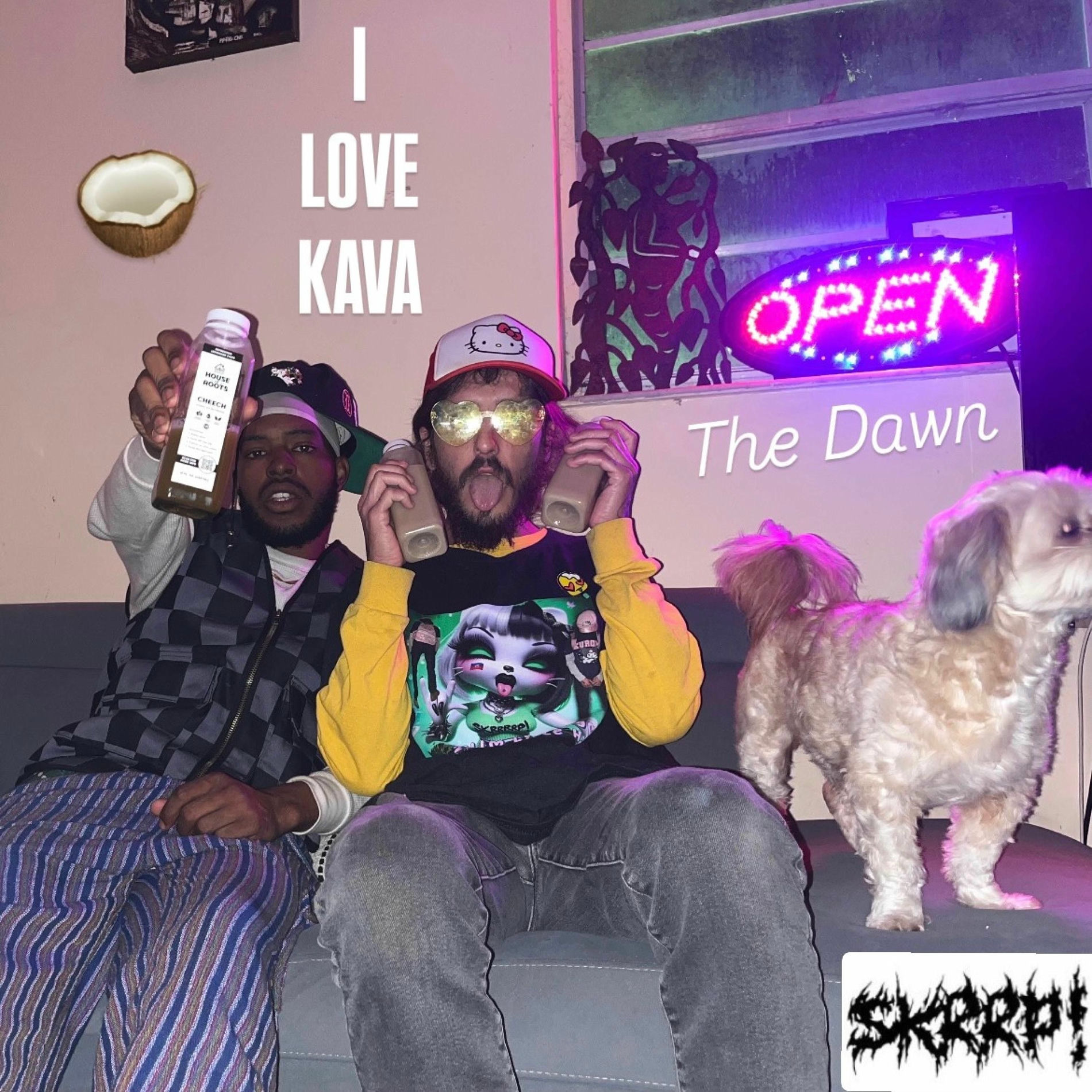 Album cover of I LOVE KAVA