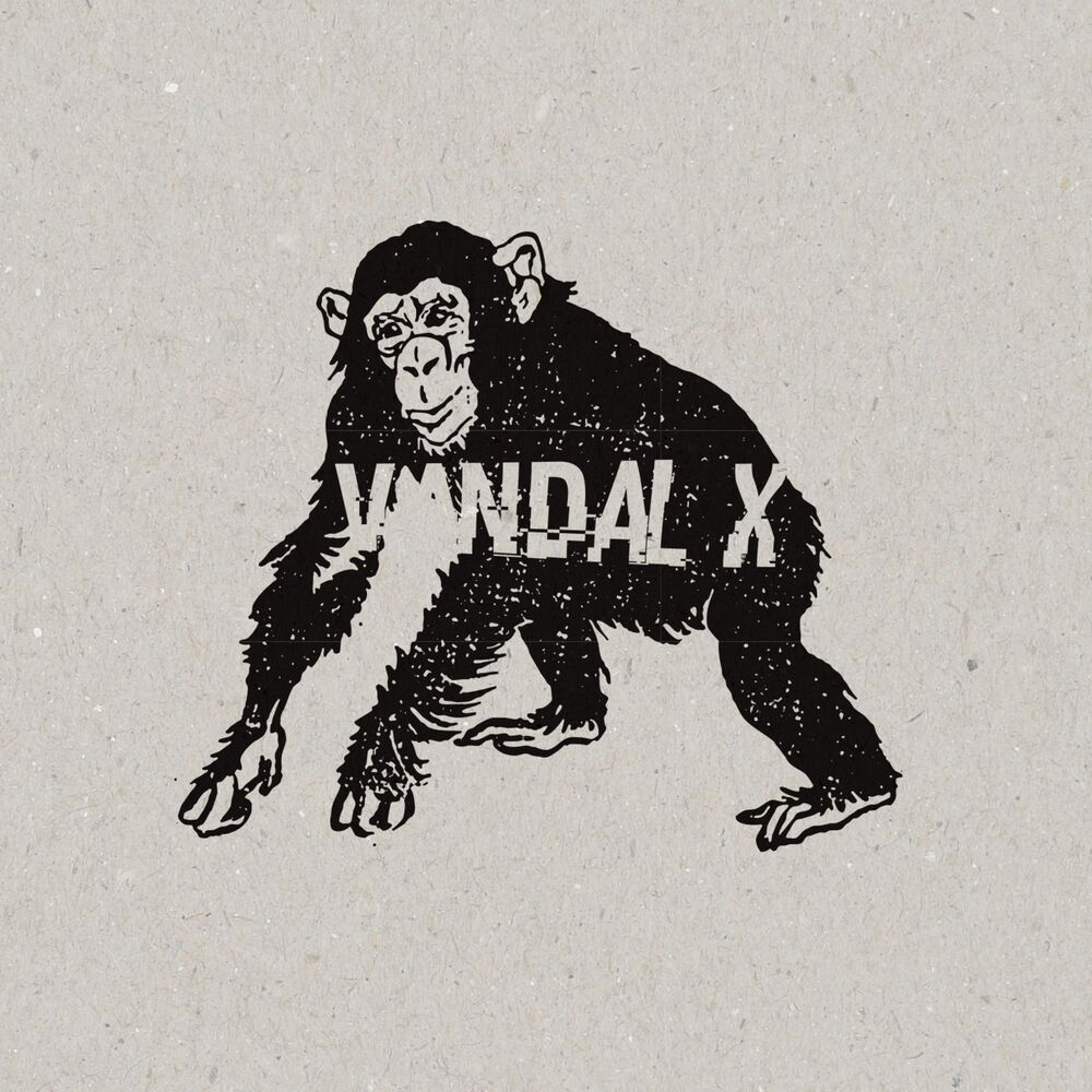 Picture of Vandal X