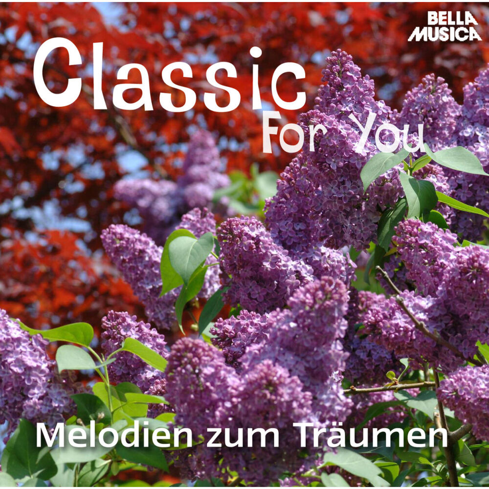 Picture of Classic for You: Melodien zum Träumen
