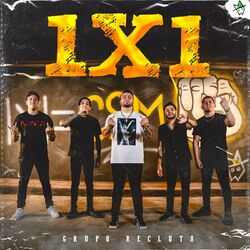 Cover of 1X1