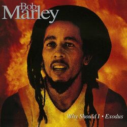 Cover of Why Should I/Exodus