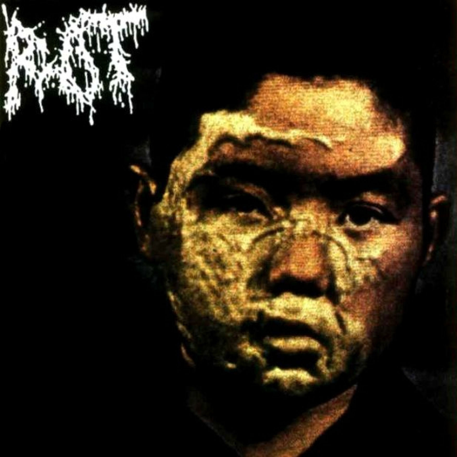 Album cover of Split with Sublime Cadaveric Decomposition