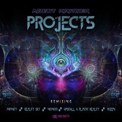 Cover of Projects