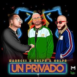 Cover of Un Privado