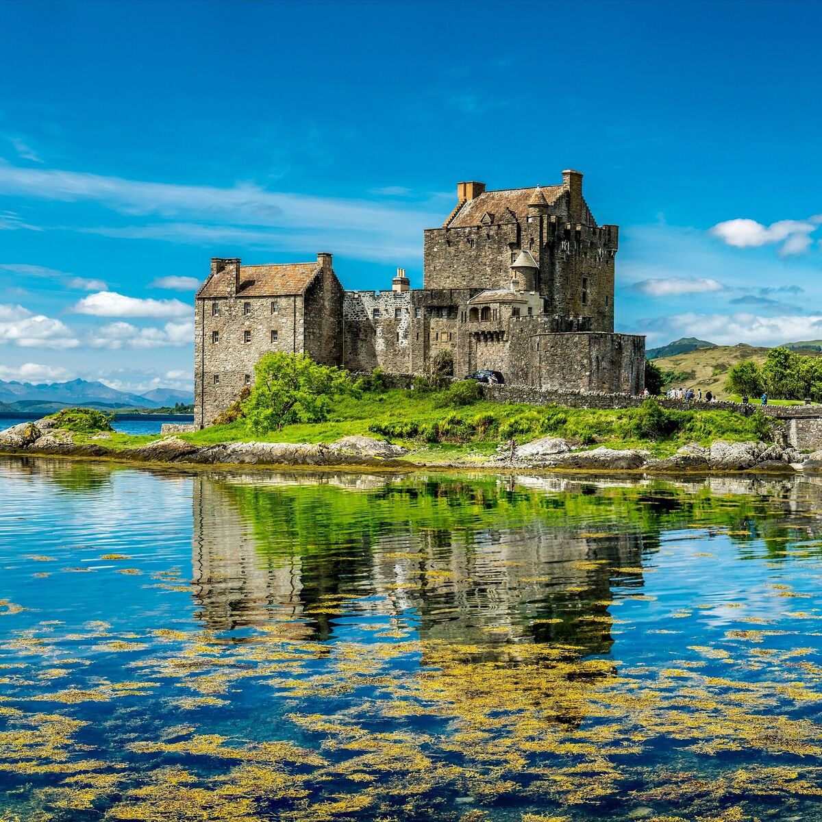 Album cover of The Magical Celtic Flute