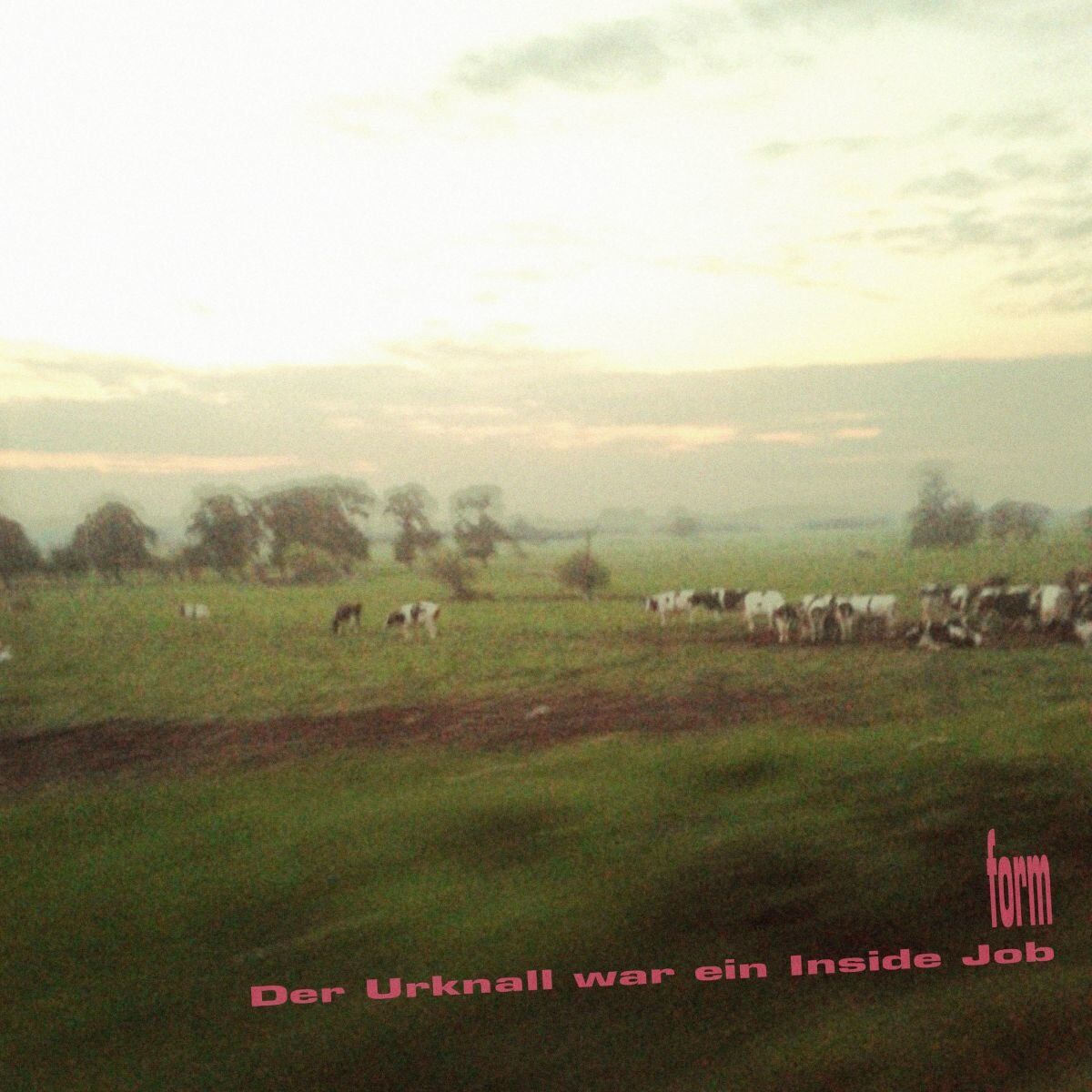 Album cover of Der Urknall war ein Inside Job