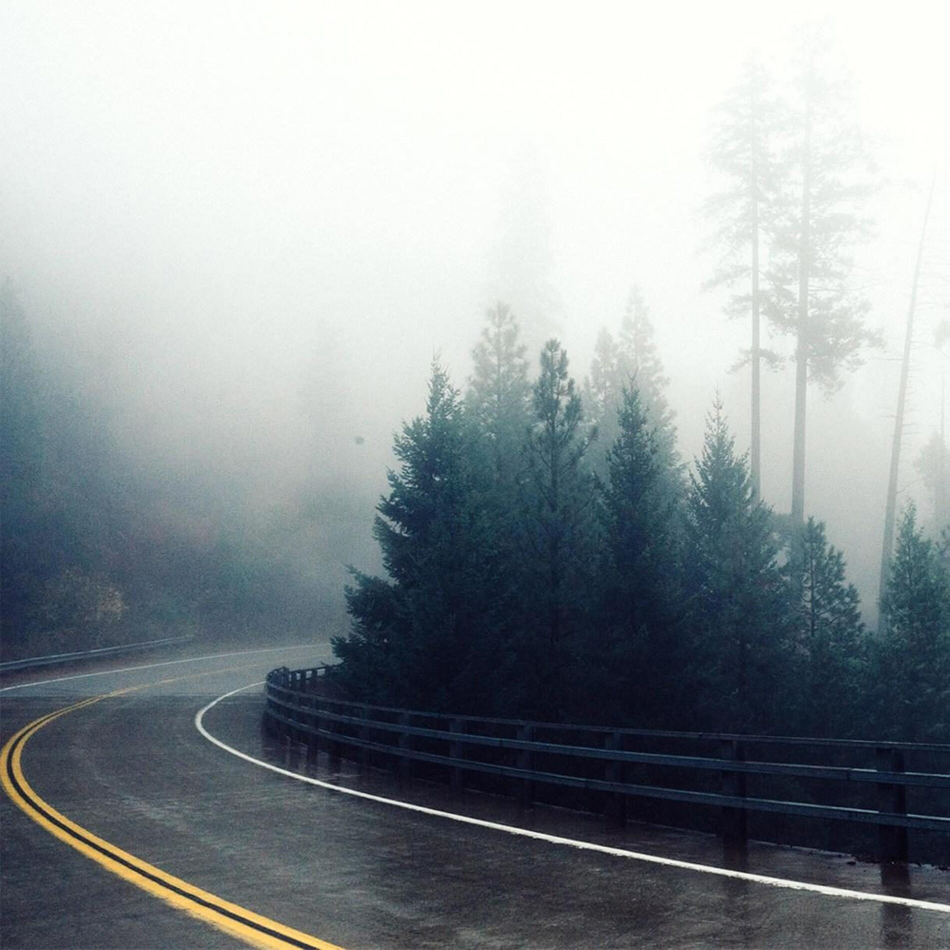 Album cover of Beginnings