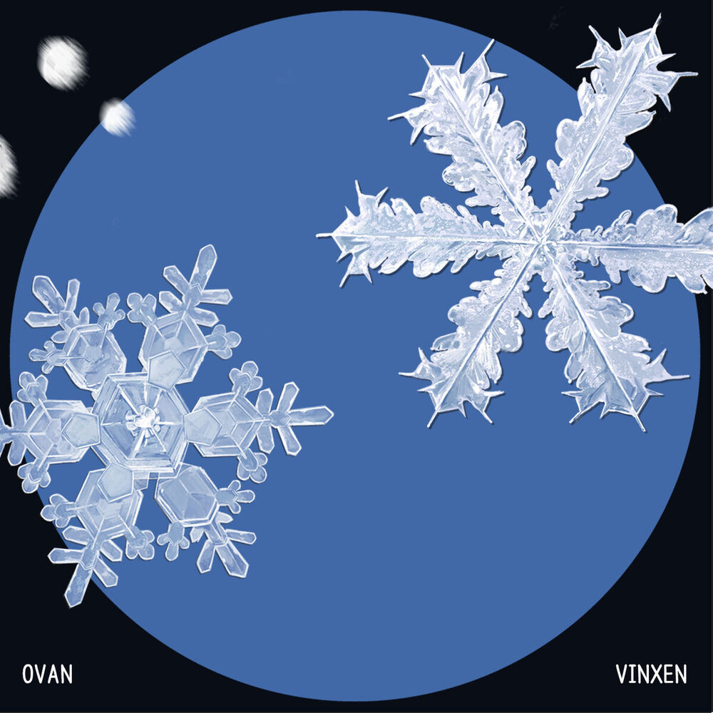 Picture of Snowflake