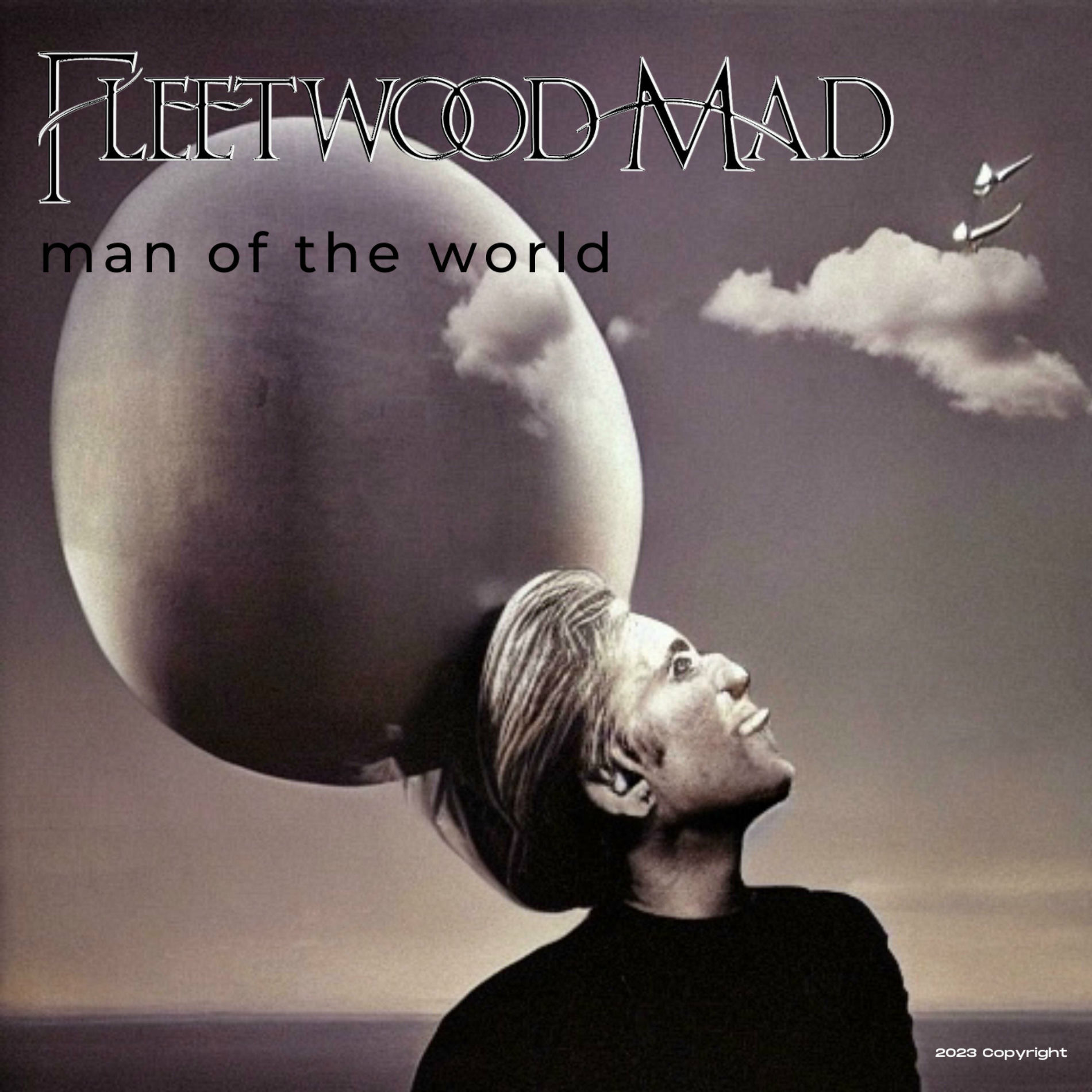 Album cover of Man Of The World