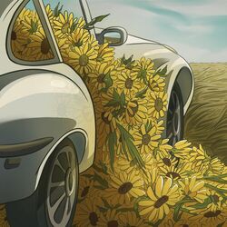 music cover