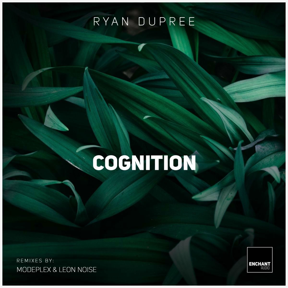 Album cover of Cognition