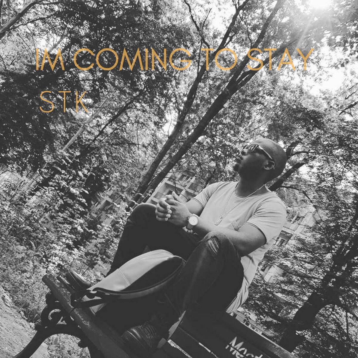 Album cover of Im Coming to Stay