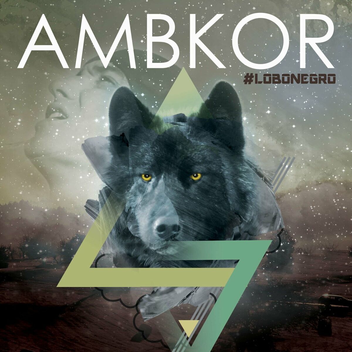 Album cover of Lobo Negro
