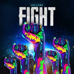 Cover of Fight