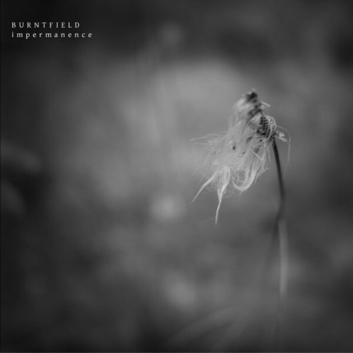 Album cover of Impermanence