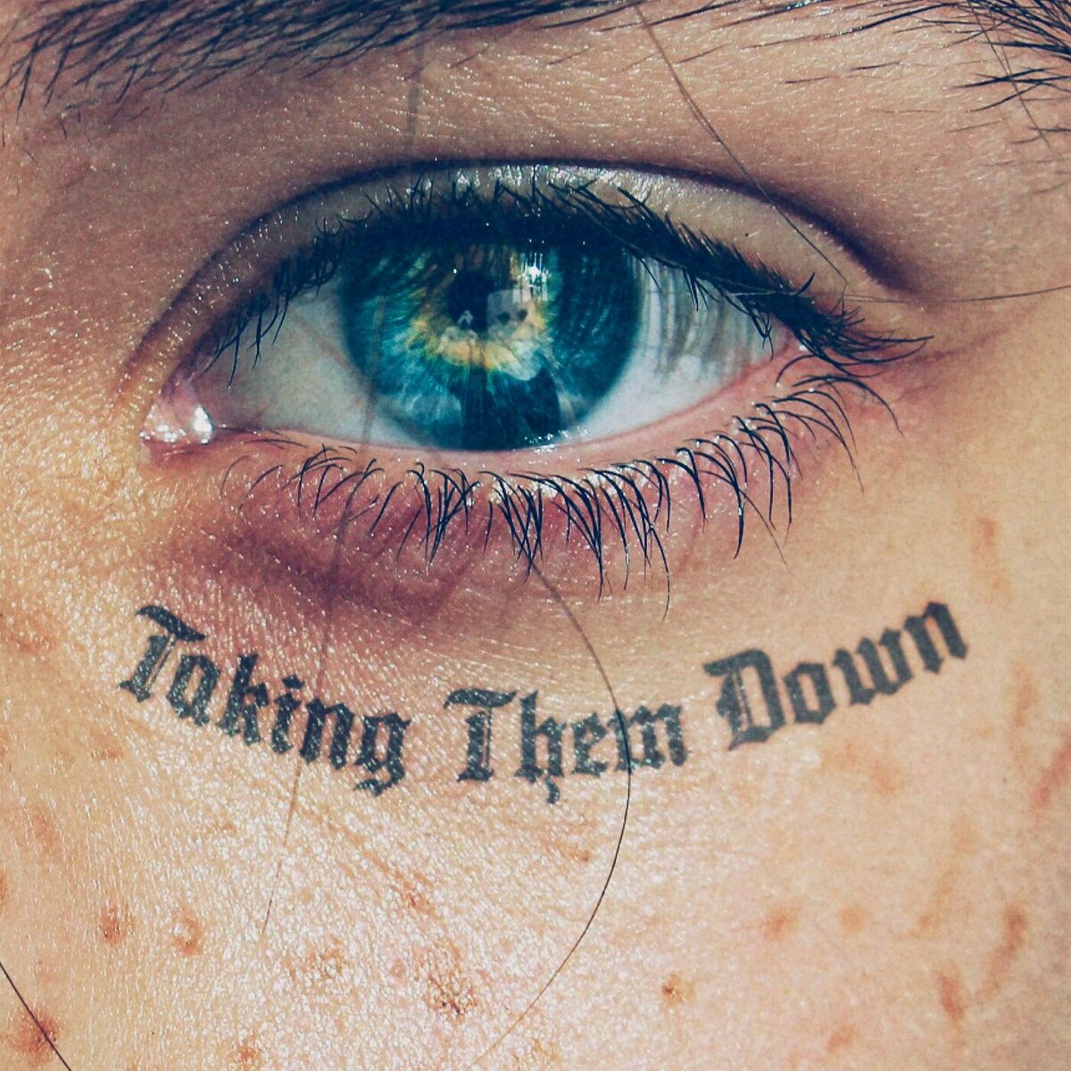 Album cover of TAKING THEM DOWN