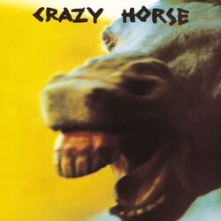 Cover of Crazy Horse