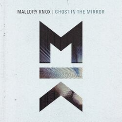 Cover of Ghost in the Mirror