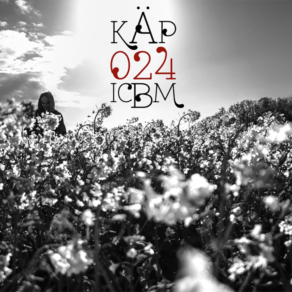 Picture of 024