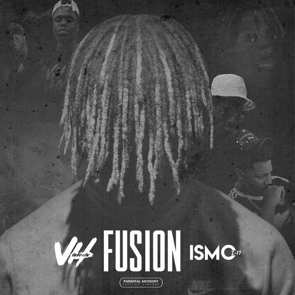 Picture of Fusion