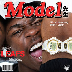 Cover of Model