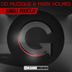 Cover of Jungle Pixies