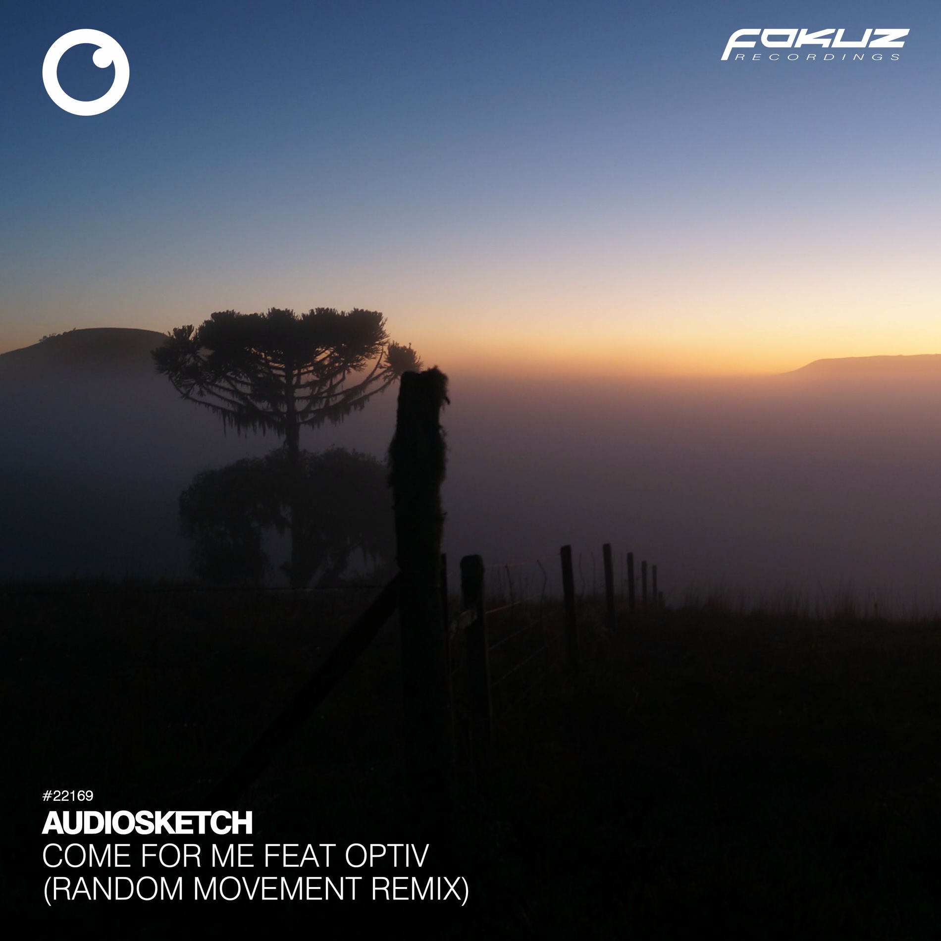 Album cover of Come For Me