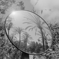Cover of The Eyes