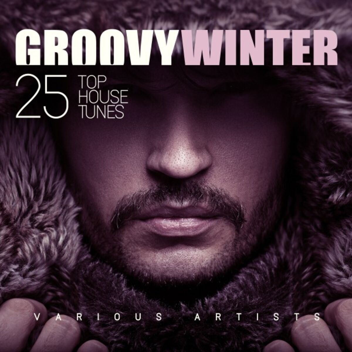 Album cover of Groovy Winter (25 Top House Tunes)