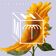 Sun (LuSiD Remix)
