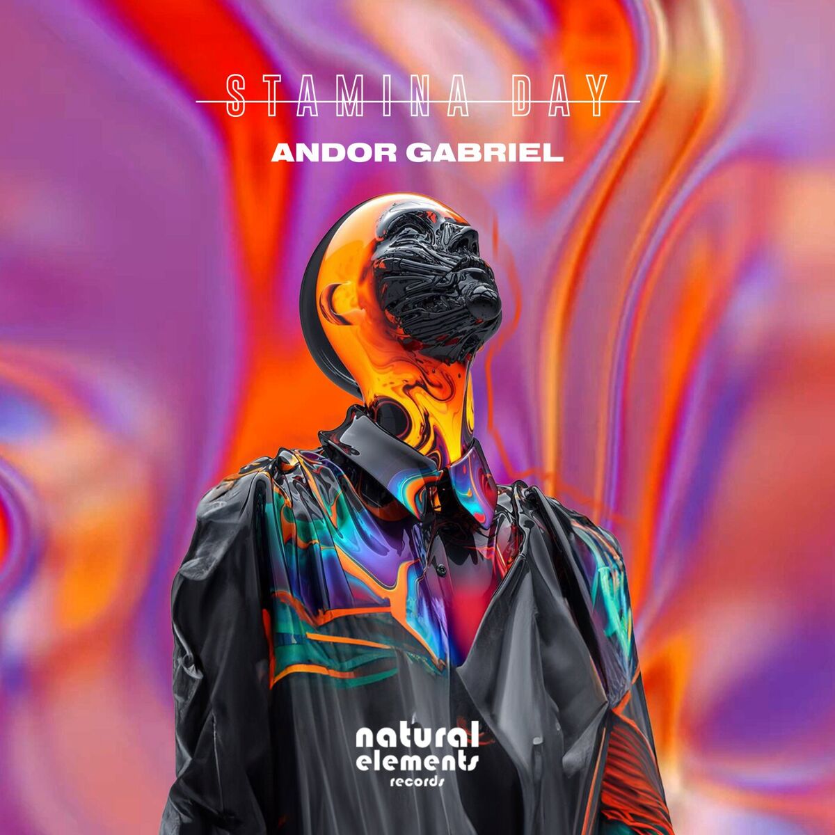 Album cover of Stamina Day