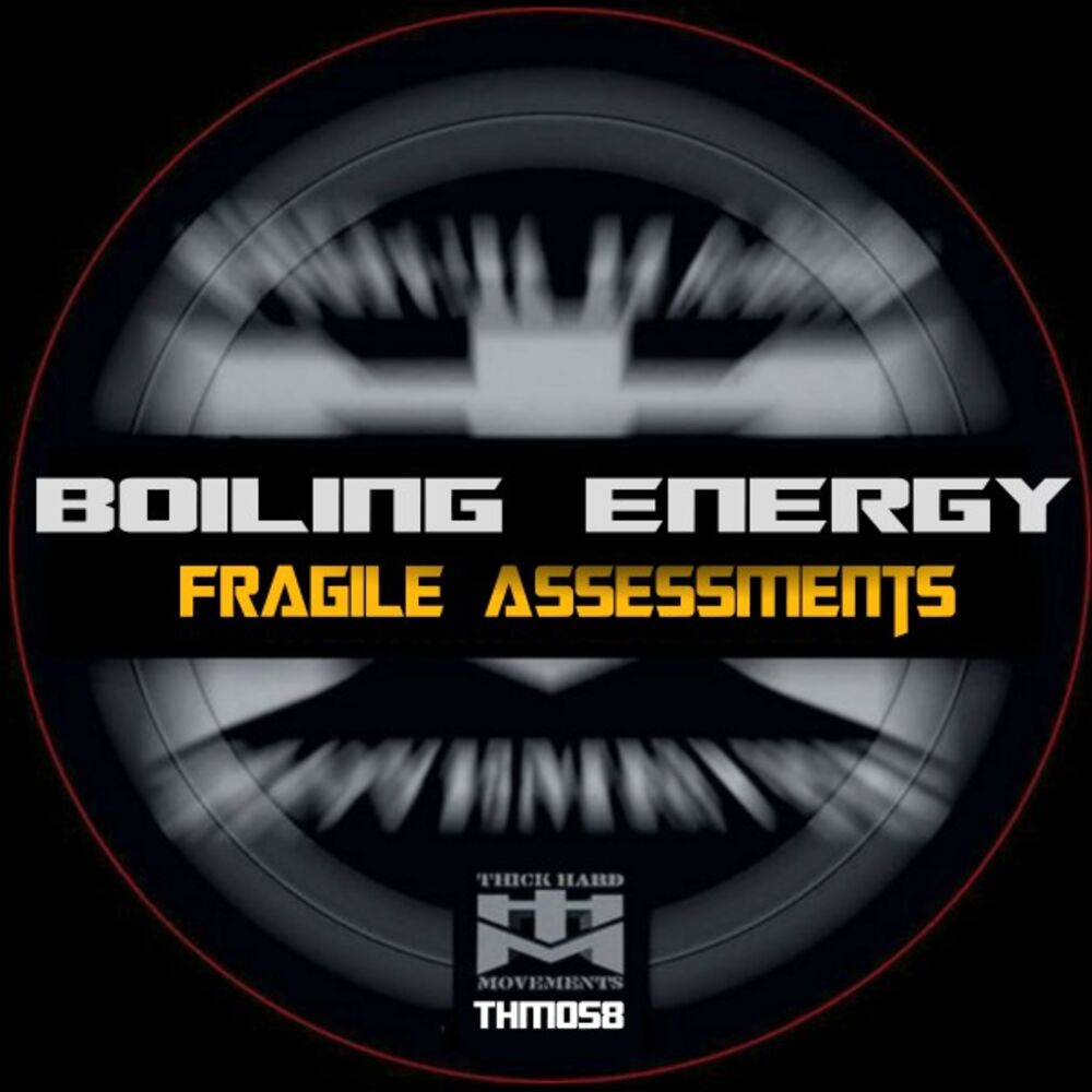 Picture of Fragile Assessments