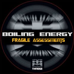 Cover of Fragile Assessments