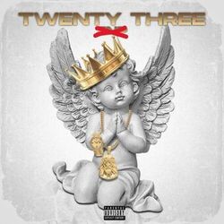 Cover of Twenty Three