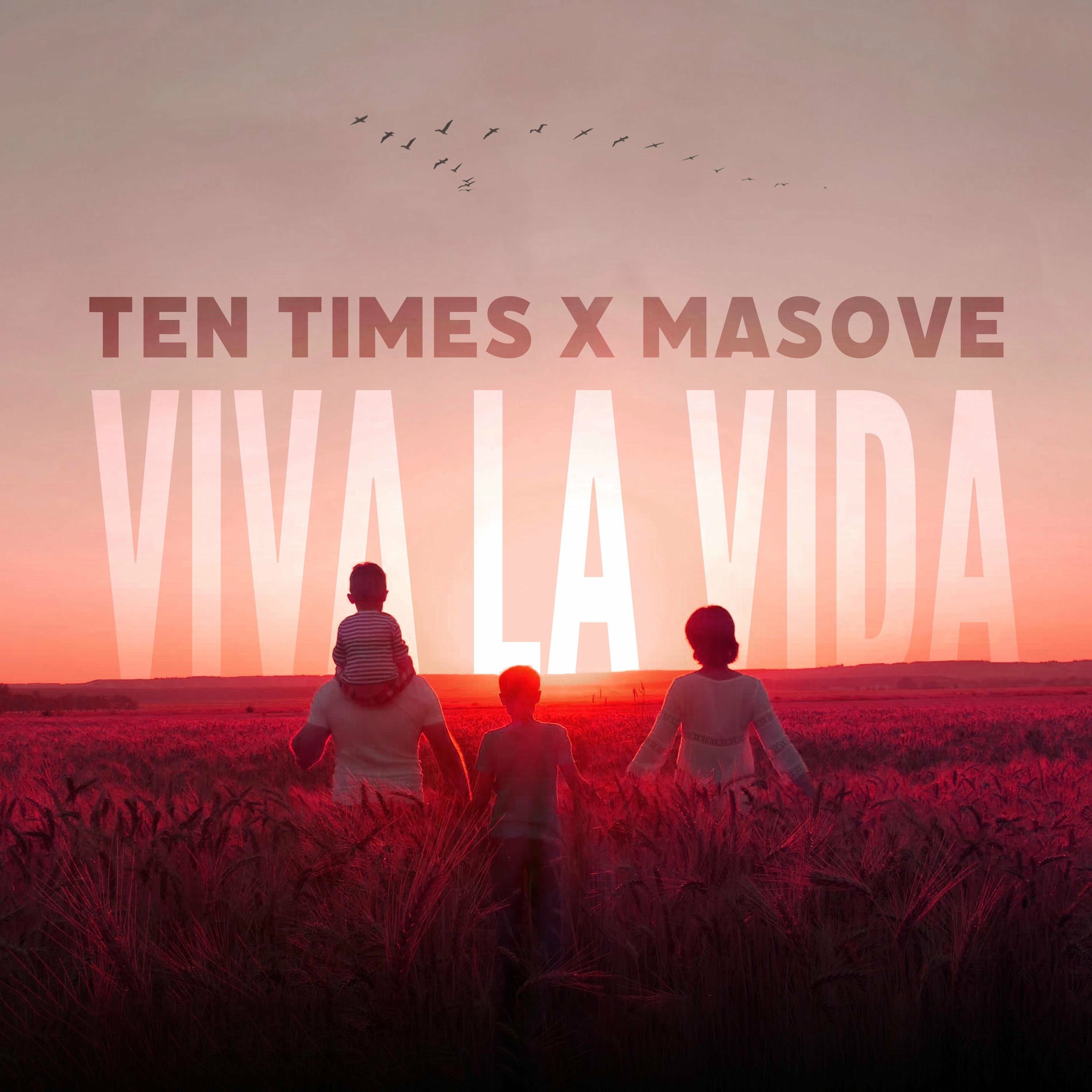 Album cover of Viva La Vida