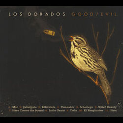 Cover of Good / Evil