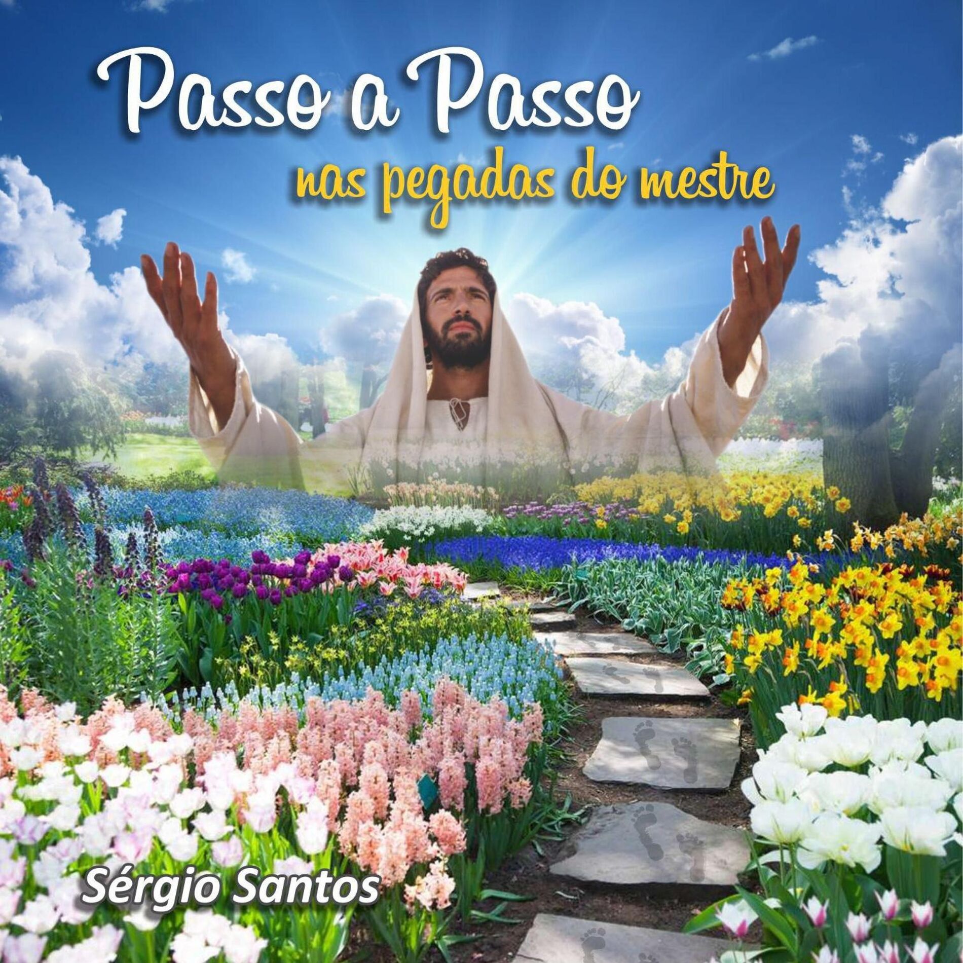 Album cover of Passo a Passo